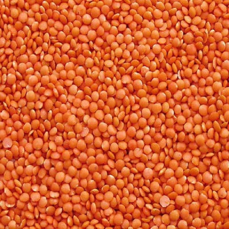 Masoor Dal - 1 kg