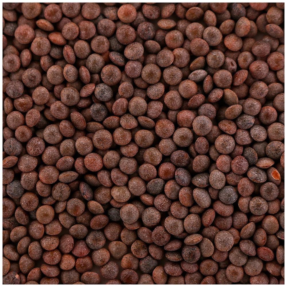 (Sabut) Whole Masoor - 500 g