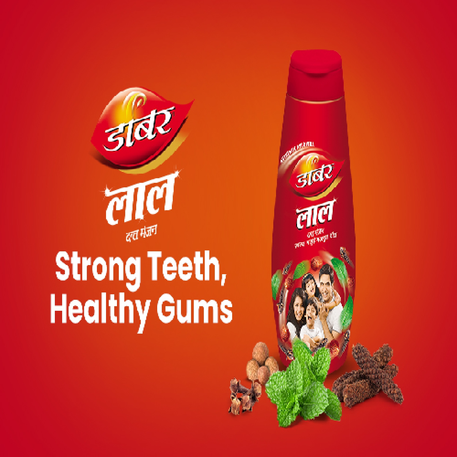 Dabur Lal Dant Manjan - Ayurvedic Toothpowder - 100 g