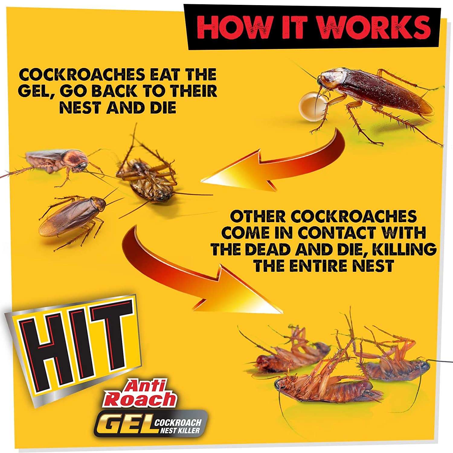 HIT Anti Roach Gel - Cockroach Killer - 20 g