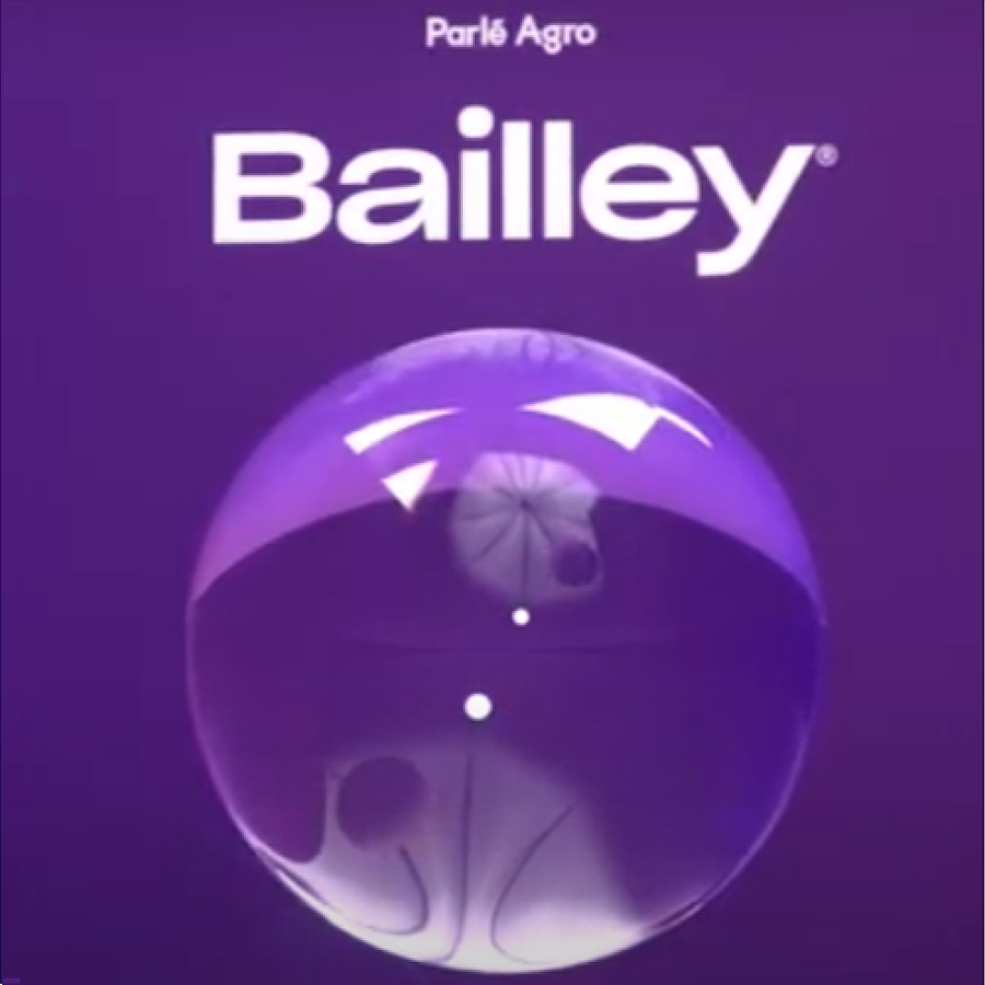 Bailley Packaged Drinking Water - 500 ml